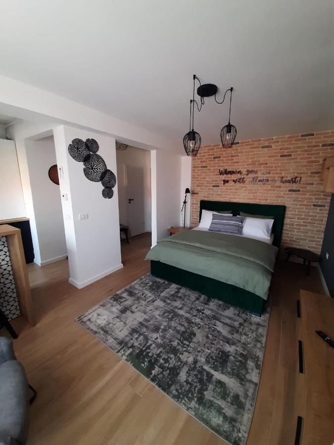 City Center View Studio Apartment 1 Timişoara Exterior foto